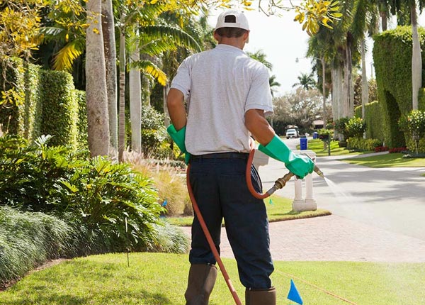 About Dawson MN Pest Control